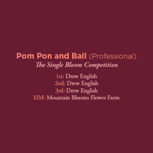 Pom Pon and Ball Professional